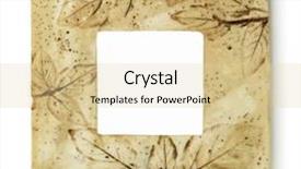  Presentation with square - Presentation theme having formal photo albums - square frame with motive background and a  colored foreground