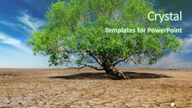  Presentation with soil formation - Slide set having soil formation - life ecology solitude concept background and a tawny brown colored foreground