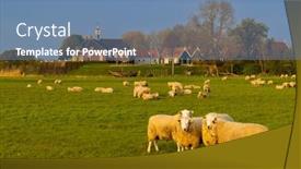  Presentation with world heritage - Presentation theme having former-island-of-schokland-unesco background and a teal colored foreground