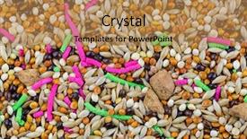  Presentation with food grains - Audience pleasing presentation consisting of formulation - closeup texture of bird food backdrop and a gold colored foreground