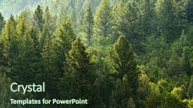  Presentation with forrest - Presentation theme with forrest - forest of green pine trees background and a tawny brown colored foreground