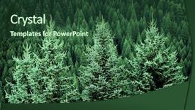  Presentation with forrest - Amazing presentation design having forrest - forest of pine trees backdrop and a tawny brown colored foreground