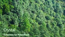  Presentation with forrest - Presentation theme consisting of forrest - forest on mountain background and a forest green colored foreground