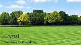  Presentation with forrest - Colorful presentation enhanced with forrest - lawn with tree line backdrop and a seafoam green colored foreground