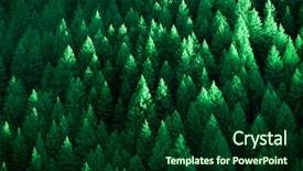  Presentation with green mountains - Presentation with forrest - lush green pine trees forest background and a forest green colored foreground