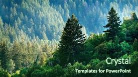  Presentation with green mountains - Slide deck featuring forrest - pine forest in wilderness mountains background and a forest green colored foreground