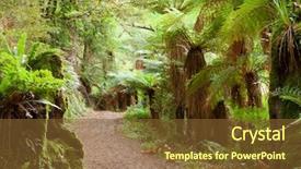  Presentation with rain forest walk way - PPT layouts consisting of forrest - road in temperate rain forest background and a tawny brown colored foreground