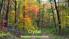  Presentation with forrest - Amazing presentation having forrest - scenic trail through the forest backdrop and a  colored foreground
