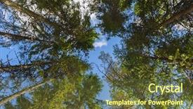  Presentation with spruce - Beautiful PPT layouts featuring forrest - ship spruce against the sky backdrop and a tawny brown colored foreground