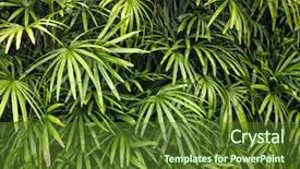 Presentation with tropical forest - PPT theme having forrest - tropical asian rain forest leaves background and a tawny brown colored foreground