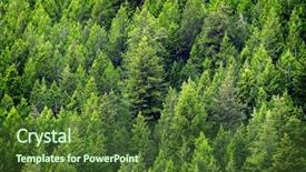  Presentation with forrest - Audience pleasing presentation theme consisting of forrest - view of forest of green backdrop and a tawny brown colored foreground