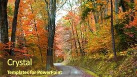  Presentation with forrest - Audience pleasing presentation consisting of forrest - walk way in the park backdrop and a tawny brown colored foreground