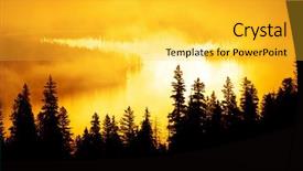  Presentation with forrest - Audience pleasing presentation consisting of forrest in autumn with mist backdrop and a yellow colored foreground