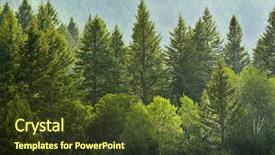  Presentation with forrest - Presentation theme having forrest of green pine trees background and a tawny brown colored foreground