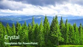  Presentation with forrest - Colorful slide deck enhanced with forrest of green pine trees backdrop and a tawny brown colored foreground