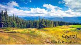  Presentation with forrest - PPT theme enhanced with forrest of green pine trees background and a gold colored foreground