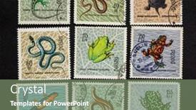  Presentation with amphibians - 