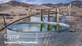  Presentation with cattle - Beautiful theme featuring fort-collins-co-usa-november backdrop and a gray colored foreground