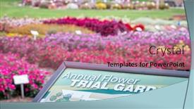  Presentation with trial - Colorful PPT layouts enhanced with fort-collins-co-usa-september backdrop and a coral colored foreground