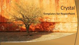  Presentation with india fort - PPT layouts featuring fort in jaipur rajasthan india background and a  colored foreground