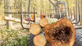  Presentation with crane - Audience pleasing theme consisting of forwarder-with-crane-transports-felled backdrop and a coral colored foreground