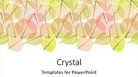  Presentation with autumn leaves - PPT theme featuring botany fossil - autumn dry golden leaves background and a white colored foreground