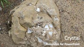  Presentation with example - Audience pleasing PPT theme consisting of fossil - fossilized seashells in a rock backdrop and a gray colored foreground