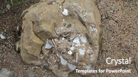  Presentation with example - PPT layouts consisting of fossil - fossilized seashells in a rock background and a gray colored foreground