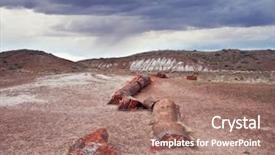  Presentation with tree - Presentation consisting of fossil - fossilized tree trunks background and a coral colored foreground