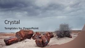  Presentation with arizona - Slide set enhanced with fossil - fossilized tree trunks background and a light gray colored foreground