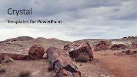  Presentation with arizona - Cool new slide deck with fossil - fossilized tree trunks backdrop and a light gray colored foreground