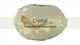  Presentation with fossil - Colorful slide set enhanced with fossil fish in the stone isolated backdrop and a mint green colored foreground