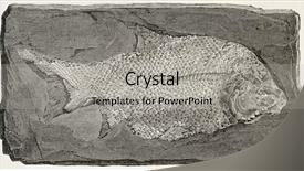  Presentation with fossil - Beautiful theme featuring fossil fish old illustration paleoniscum backdrop and a light gray colored foreground
