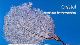  Presentation with world pollution - Presentation design consisting of fossil fuel - dried coral reef sea fan background and a teal colored foreground