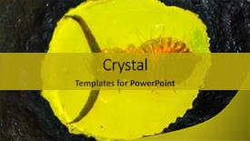  Presentation with insect - Presentation theme consisting of fossilized baltic amber with insect background and a gold colored foreground