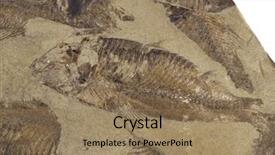  Presentation with bone fish - PPT theme with fossilized fish in a bed background and a coral colored foreground