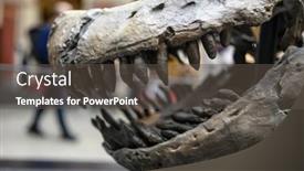  Presentation with prehistoric - Presentation design with fossils-jaws-and-skull background and a dark gray colored foreground