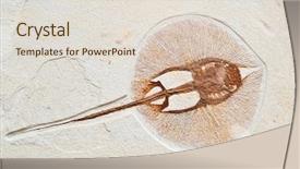  Presentation with prehistoric - Amazing slides having fossils of a prehistoric electric backdrop and a lemonade colored foreground