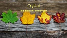  Presentation with autumn leaves - Slides enhanced with four-autumn-colored-leaves background and a tawny brown colored foreground