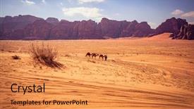  Presentation with rum - Amazing slide set having four camels tire tracks backdrop and a gold colored foreground