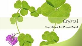  Presentation with four leaf clover - Amazing PPT layouts having four-element-clover-leaf backdrop and a blonde colored foreground