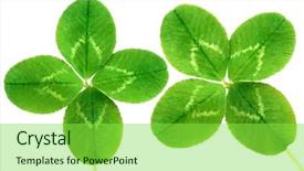  Presentation with green leaves - Slide set with four leaf clover - green leaves on white background background and a seafoam green colored foreground