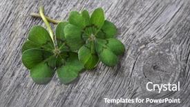  Presentation with four leaf clover - Audience pleasing slide deck consisting of four leaf clover on grey backdrop and a gray colored foreground