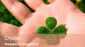  Presentation with four leaf clover - PPT theme having four leaf clover background and a coral colored foreground