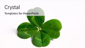  Presentation with four leaf clover - Theme featuring four leaf clover background and a white colored foreground