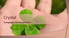  Presentation with four leaf clover - Presentation theme with four leaf clover background and a lemonade colored foreground