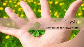  Presentation with four leaf clover - PPT theme consisting of four leaf clover background and a coral colored foreground