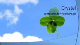  Presentation with four leaf clover - Colorful presentation enhanced with four leaf clover backdrop and a light blue colored foreground