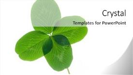 Presentation with clover - Presentation design having four leaf clover background and a white colored foreground