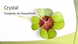  Presentation with clover - PPT theme featuring police - bloody hand in front background and a tawny brown colored foreground